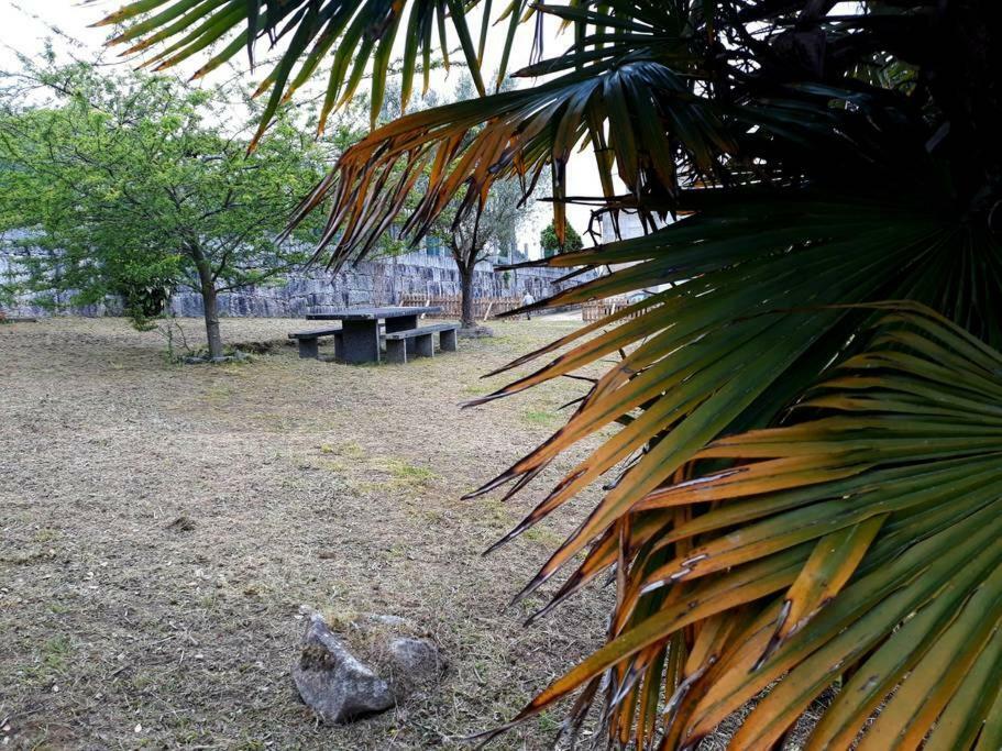 Casa Pio, Vistas Islas Cies Nigrán Eksteriør billede